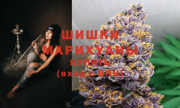 молекула духа Семилуки