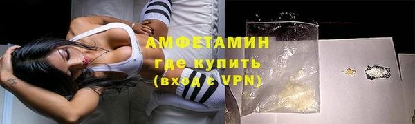 молекула духа Семилуки