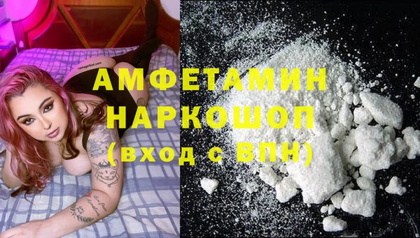 молекула духа Семилуки