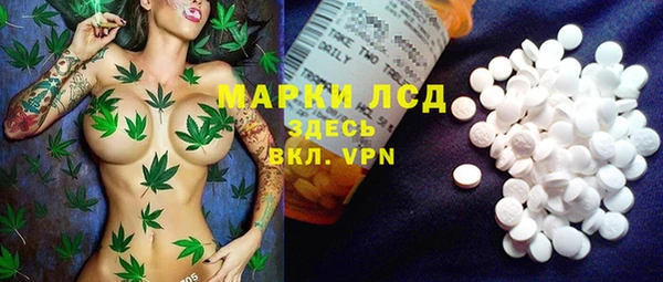 молекула духа Семилуки
