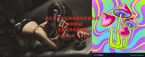 дмт Дубовка