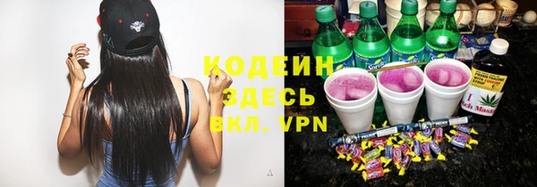 молекула духа Семилуки