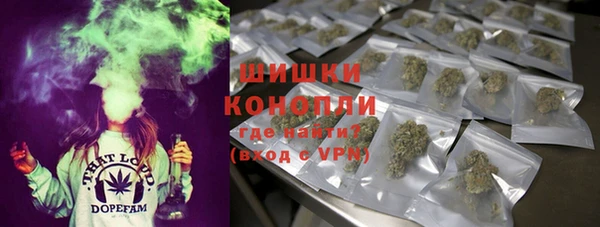 молекула духа Семилуки