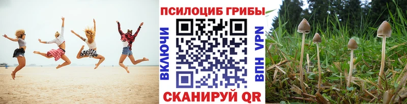 цена наркотик  Усмань  Галлюциногенные грибы Psilocybe 